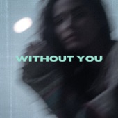 I'm Not Going Home (Without You) artwork