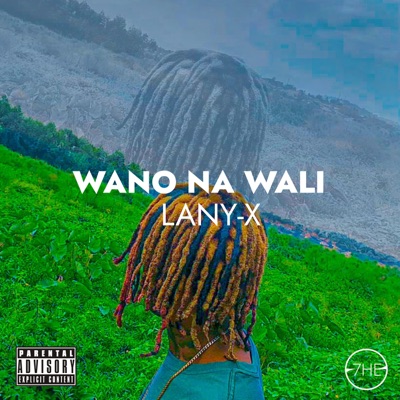 Wano Na Wali - Single