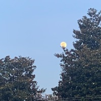 Conclure - Single - Noah Sollenberger