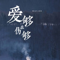 爱够也伤够 - Single - 杨仁清 & 王学美