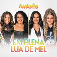 Em Plena Lua de Mel - Single - Banda Amigas do Brega