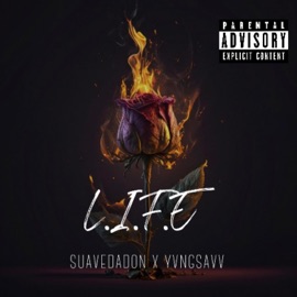 Dial Tone (feat. Jon Singz) SuaveDaDon & Yvngsavv