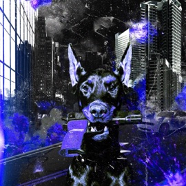 Drip Check (feat. walo) Blanc