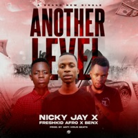 Another Level (feat. Nicky Jay & Benx Yrn) - Single - Freshkid Afro