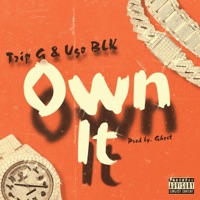 Own It (feat. Ugo BLK) - Single - Trip G