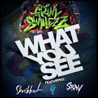 What You See (feat. Stray & Skribbal) - Single - Grim Smilezz