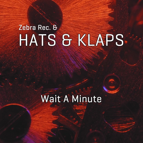 Wait a Minute - Single