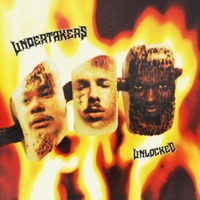 UNDERTAKERS UNLOCKED (feat. NINOKIDFRANKENSTEIN & KRIM$IN TERROR PHANTOM) - Single - DVRKSIDE