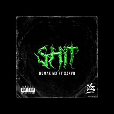 Shit (feat. XZKVR) - Single