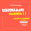 Usidhani Nahofia (feat. Tonch) - Single