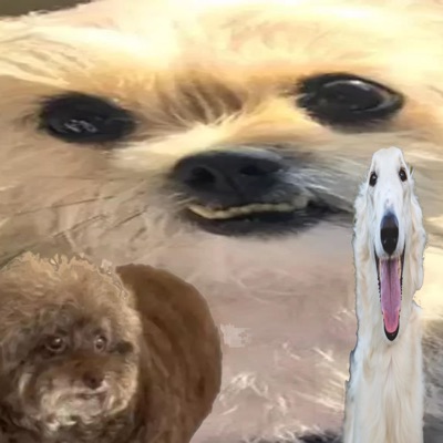 EU VO VOLTA PRA CACHORRADA! (feat. lildudx) - Single