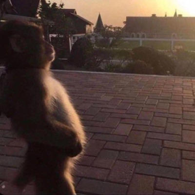 Dntknowwheretogo (feat. Idrcabi & 4Getek) - Single