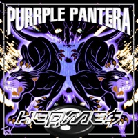 Purrple Pantera - EP - Herme$