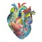 Montana - Kelley McRae lyrics