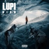 Lupi - Single
