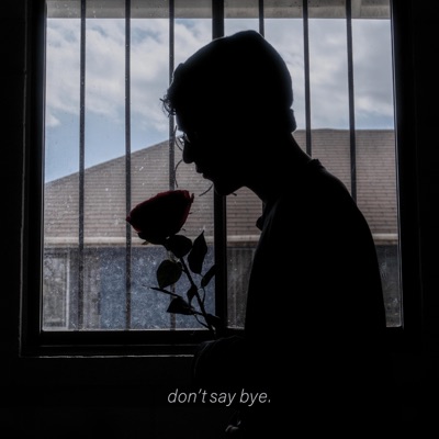 DON'T SAY BYE - Single