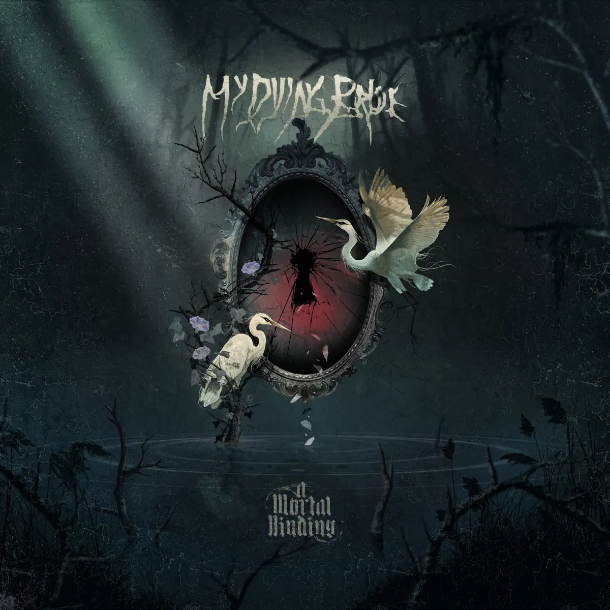 My Dying Bride - A Mortal Binding (2024) [iTunes Plus AAC M4A]-新房子