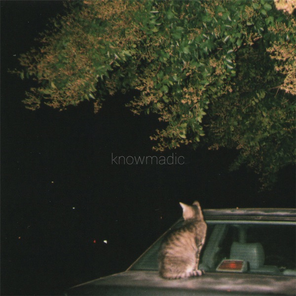 Strays - EP