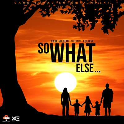 So What Else (feat. Dave Silbert) - Single