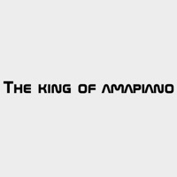 The introduction (feat. Van Gee & Vicky & Soundslucid) [Radio Edit] - Single - The King Of Amapiano