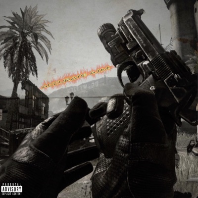 Accurate Aim! (feat. Drizzy) - Single