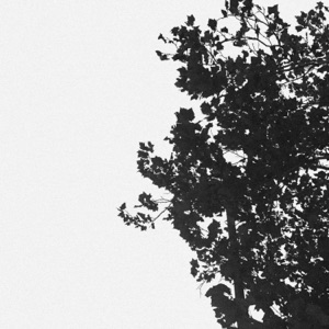 New License - EP