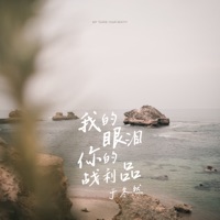 我的眼泪你的战利品 (红月鼓点版) - Single - Dongran Yu