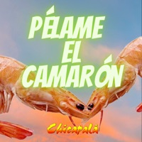 Grupo Chicapalá - Pélame el Camarón