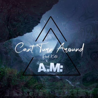 Can't Turn Around (feat. A.M:) - Single
