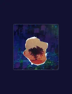 Leezacを聴いたり、ミュージックビデオを鑑賞したり、経歴やツアー日程などを確認したりしましょう！