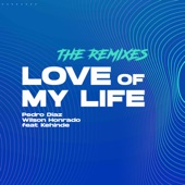 Love Of My Life (feat. Kehinde) [Carlos Fas & Vicente Fas Remix] artwork