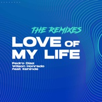 Love Of My Life (The Remixes) [feat. Kehinde] - Pedro Diaz & Wilson Honrado