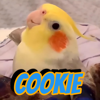 Cookie, Cookie - AtilaKw