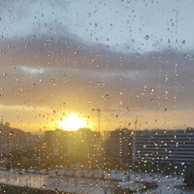 Dónde Estás BB - Single