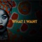 What I Want (feat. Tonye Aganaba) - Sean Dimitrie lyrics