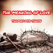 The Meaning of Love artwork