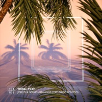 Bailamos (feat. Diego Acevedo) - Single - Joelmy & NOIXES