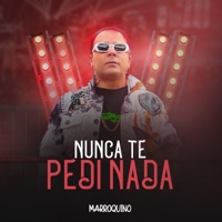 Nunca Te Pedi Nada - Single - Mc Marroquino