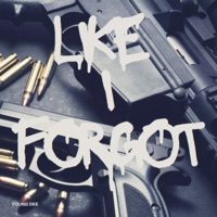 Like I Forgot - Single - Young Dee