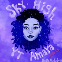Sky High (Slowed) - Single - Y.T. Amaya