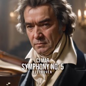 Symphony No.5 (Beethoven) artwork