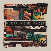 Great Wise Chief (feat. Dele Sosimi) artwork