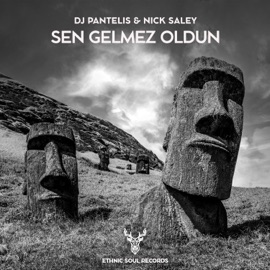 Sen Gelmez Oldun DJ Pantelis & Nick Saley