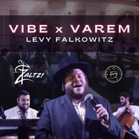Vibe & Varem (feat. The Shira Choir) - Single - Levy Falkowitz