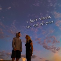 I Don't Wanna See You Anymore (feat. Josiah MacCartney) - Single - Anthony Opgaard