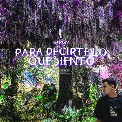Para decirte lo que siento - Single