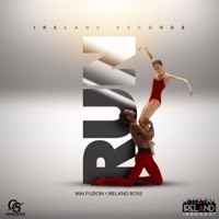 Run - Single - WAI FUZION & Ireland Boss
