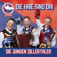 Die Haie sind da! - Single - Die jungen Zillertaler