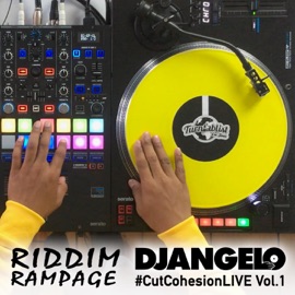 AFRICAN IN NEW YORK (feat. Sarz) [Mixed] Shirazee