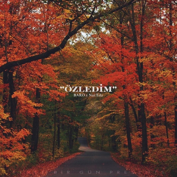 ÖZLEDİM (feat. Naz Eda)